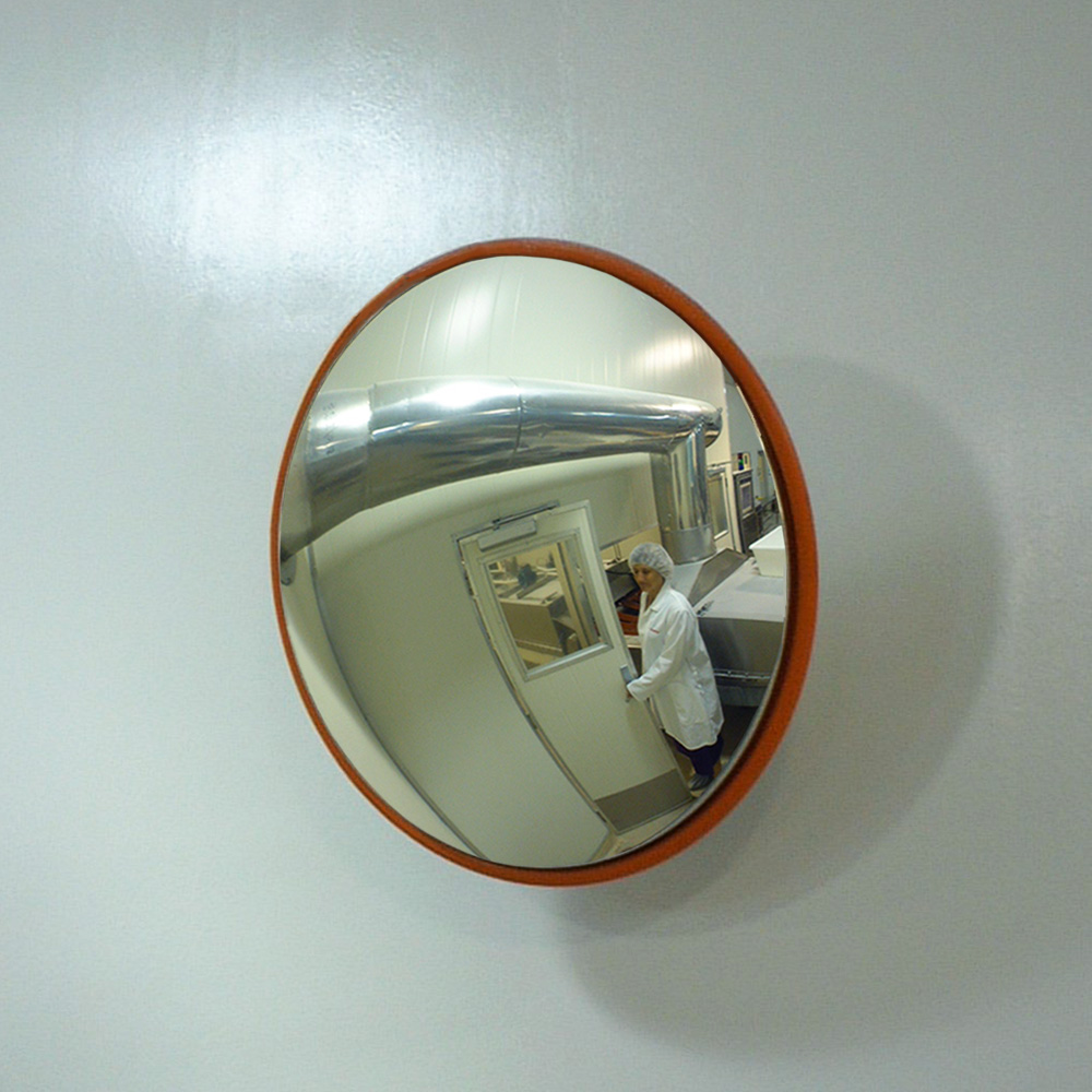 Biosecurity Full Stainless Steel Convex Mirror